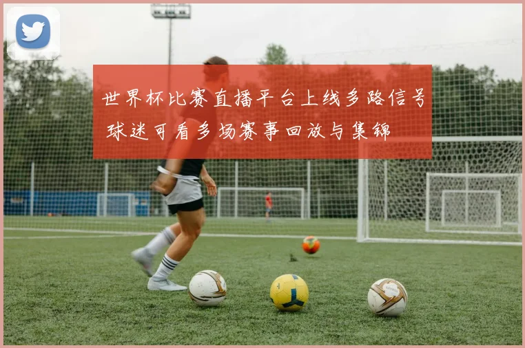 世界杯比赛直播平台上线多路信号 球迷可看多场赛事回放与集锦