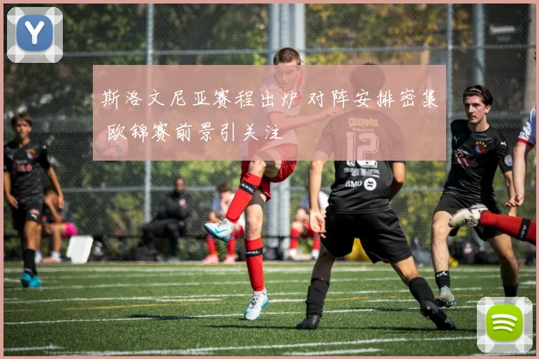 斯洛文尼亚赛程出炉 对阵安排密集 欧锦赛前景引关注