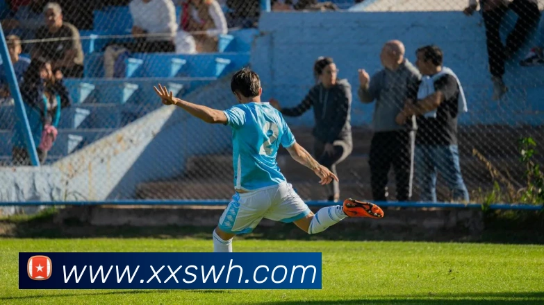 九游j9备用官网APP 封面图